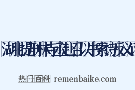 湖北提刑林寺丞赴召以书索诗反义词是什么意思的图片